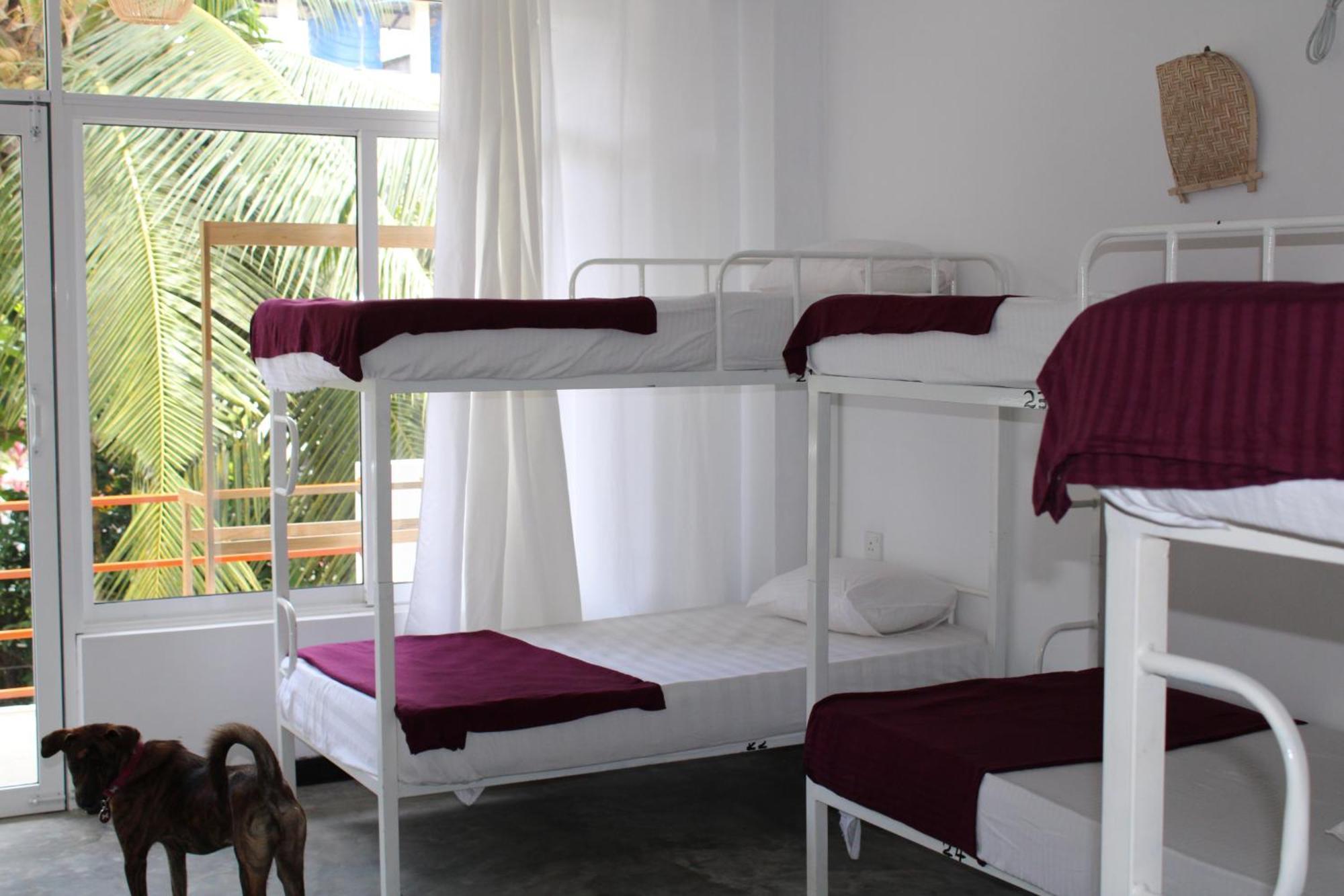 Sun & Moon Hostel Mirissa Esterno foto